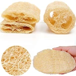 Cylindrical Loofah Dish Scrubber