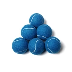 2.5" D Dog Fetching Tennis Ball