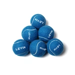2.5" D Dog Fetching Tennis Ball