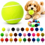 2.5" D Dog Fetching Tennis Ball
